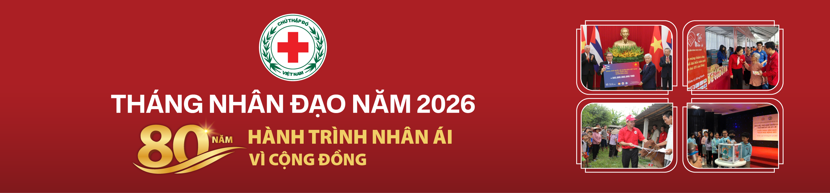 Hội Chữ thập đỏ Thành phố Hồ Chí Minh | Phát triển tổ chức Hội Chữ thập đỏ trường học