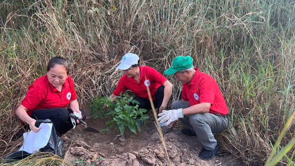 Chương trình Một triệu cây xanh