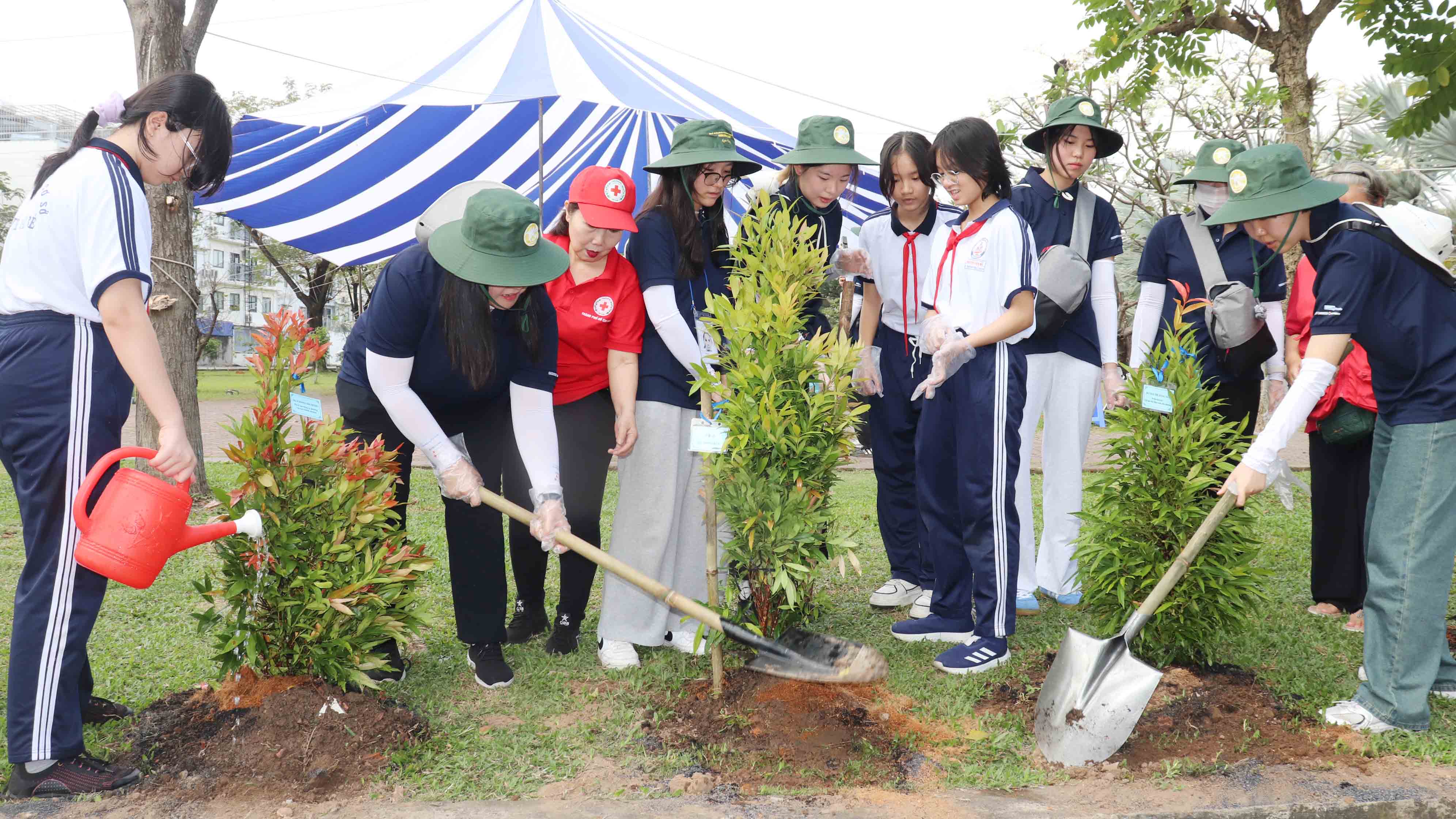 Giao lưu trồng cây cùng Đoàn Tình nguyện viên Hội Chữ thập đỏ tỉnh Gyeonggi, Hàn Quốc